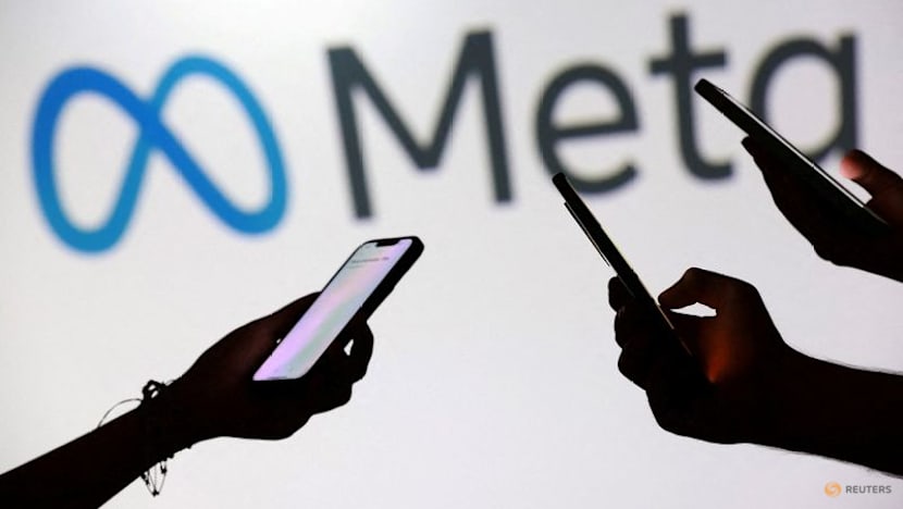 Setback for Meta as court adviser backs EU regulators in data spat