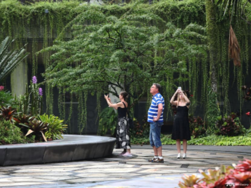 The Big Read: Fancy spending weeks on a tropical island? Singapore aims to shed 'stopover' tag amid tourism market shifts The Big Read: Fancy spending weeks on a tropical island? Singapore aims to shed 'stopover' tag amid tourism market shifts