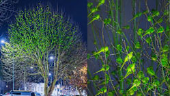 Gambar Pilihan Hari Ini