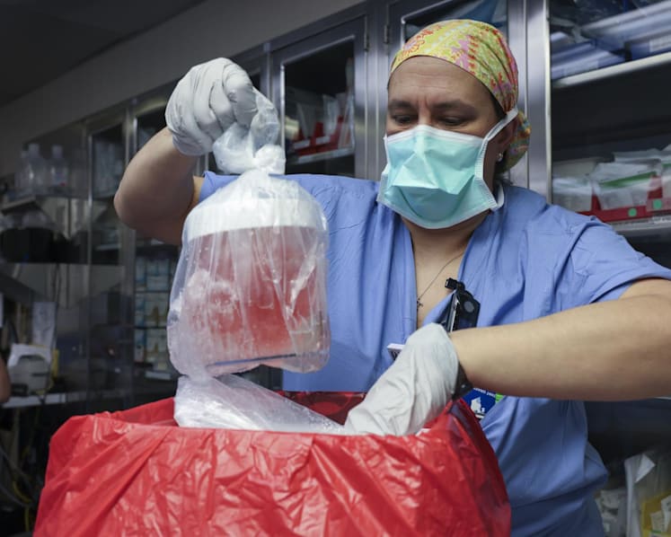 Commentary: The first pig kidney has been transplanted into a living person. What does this mean for organ donation? 