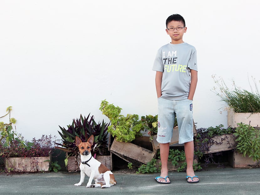 The Big Read: Behold, the rise of Singapore’s eco-warriors and foot soldiers