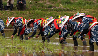 Japan Hour - Cycle Around Japan - Spring: A Journey through Boso Peninsula