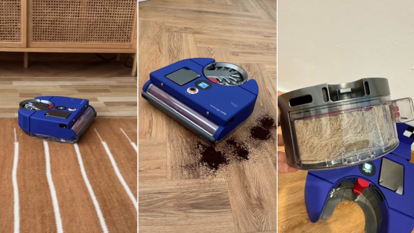 00_dyson_360_vis_nav_review_8_days