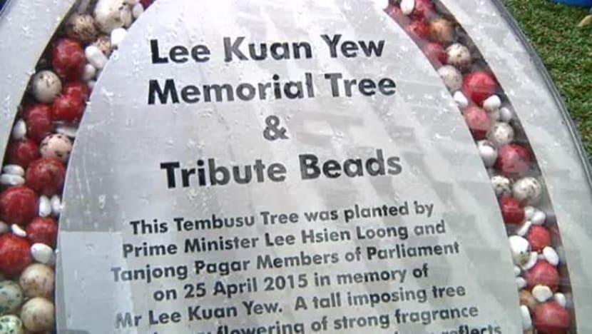 Memorial tree planted at Duxton Plain Park in honour of Mr Lee Kuan Yew