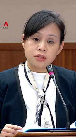 MP Elysa Chen proposes higher taxes on owners with multiple investment properties