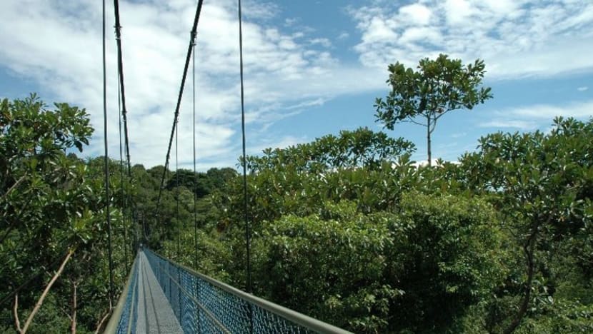 Related article image