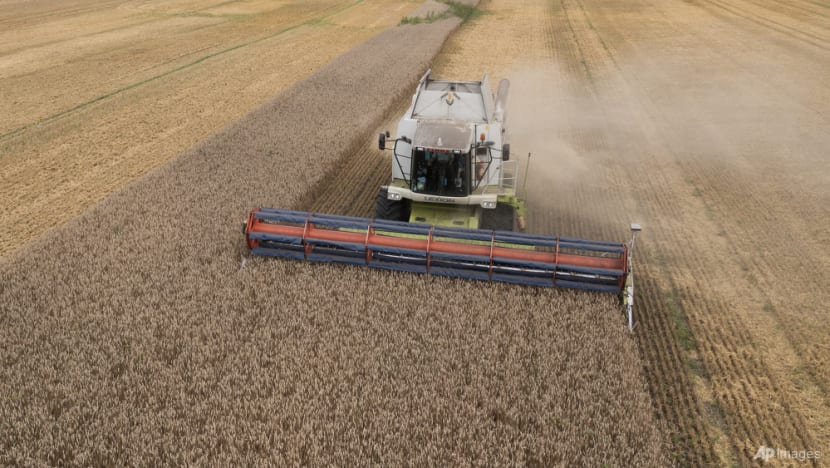 Commentary: Russia has pulled out of the Black Sea grain deal. Here's why it must be restored Commentary: Russia has pulled out of the Black Sea grain deal. Here's why it must be restored
