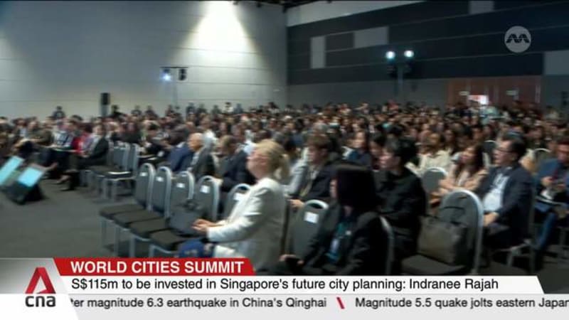 S$115m to be invested in Singapore's future city planning: Indranee Rajah  