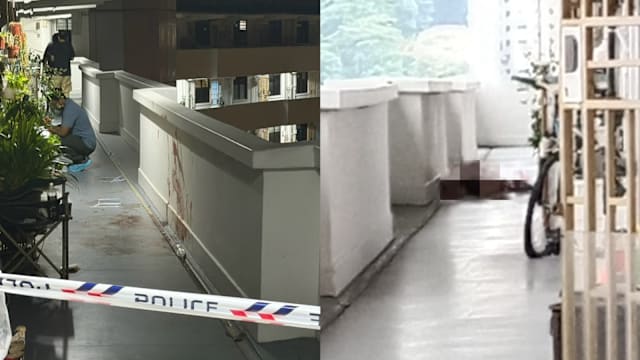 红山麟谷峇鲁命案 邻居：双方激烈争吵 嫌犯扔刀下楼