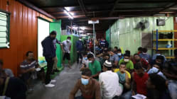 Related article image