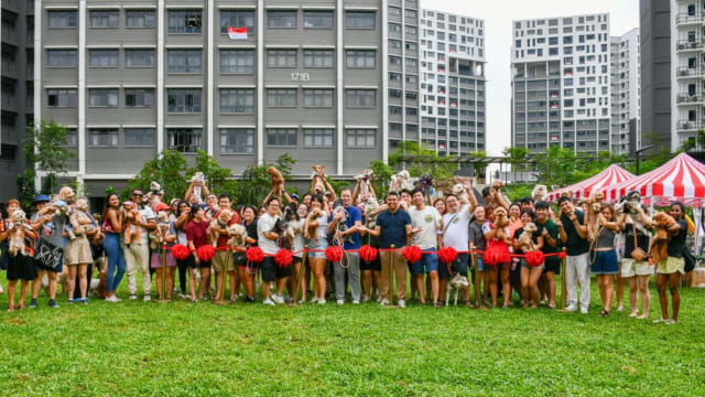 五年发展规划首个项目落成 盛港河谷遛狗区正式启用