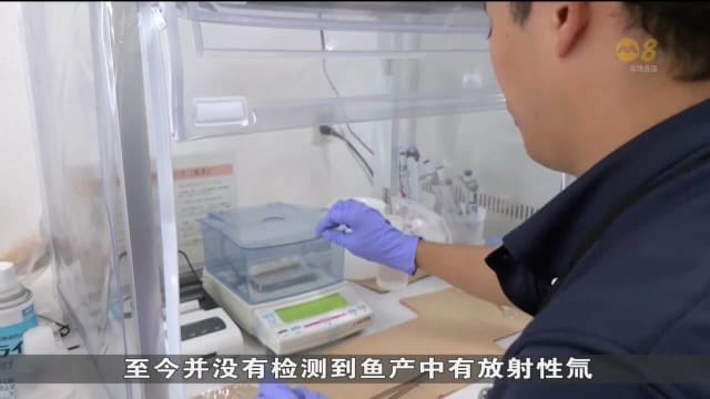 日本每天检测并公布结果 以证明福岛海产仍可安全食用