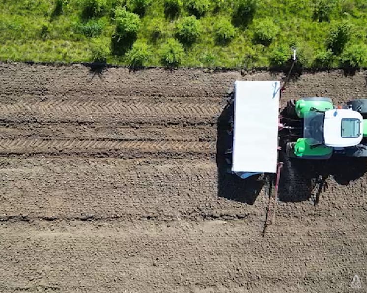 Denmark converts farmland to forest in bid to revive nature – and Europe’s climate ambitions
