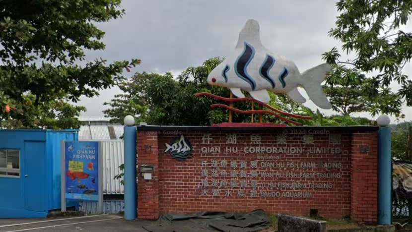 Lelaki dipenjara 8 hari kerana curi ikan pari albino