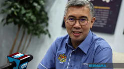 Related article image