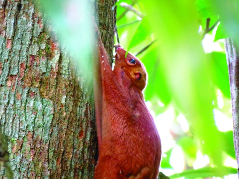 Why nature is catching on as “the thing to do” these days