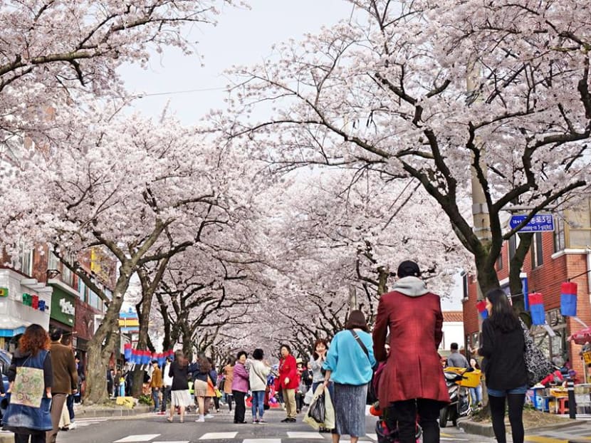 Gen Y Speaks: My epic 12-day Korean trip on a Tinder first date