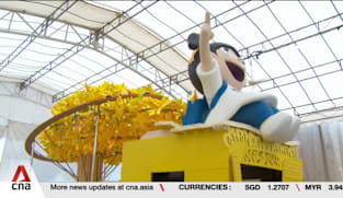 Close to 10,000 people involved in this year's Chingay 