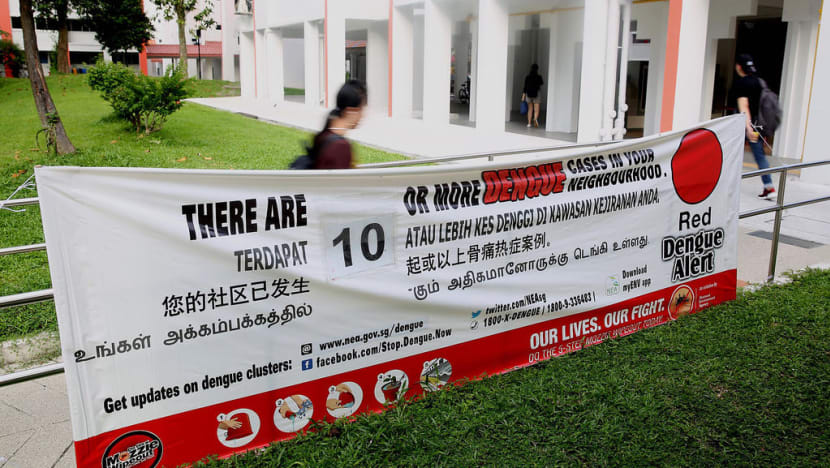 Dengue cases at four-year high