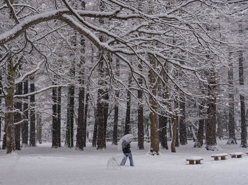 Sapporo travel guide: Where to eat, drink and explore in Japan’s northern city
