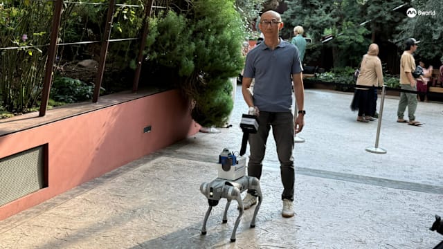 滨海湾花园将推出机器导盲犬 助视障者自主参观花穹