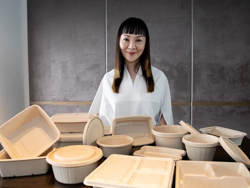 The Big Read in short: Businesses ride the sustainability wave 