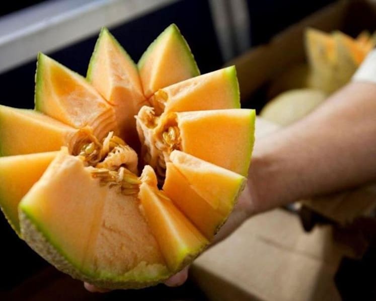 2 patients in Singapore infected with similar strain of listeria as Australia outbreak
