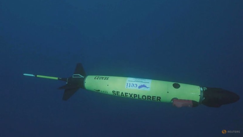 Underwater robot tracks sperm whale conversations in real time