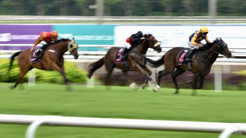 Heart of the Matter: 16 months not enough time to find alternatives, say jockey and trainer on Singapore Turf Club closure Heart of the Matter: 16 months not enough time to find alternatives, say jockey and trainer on Singapore Turf Club closure