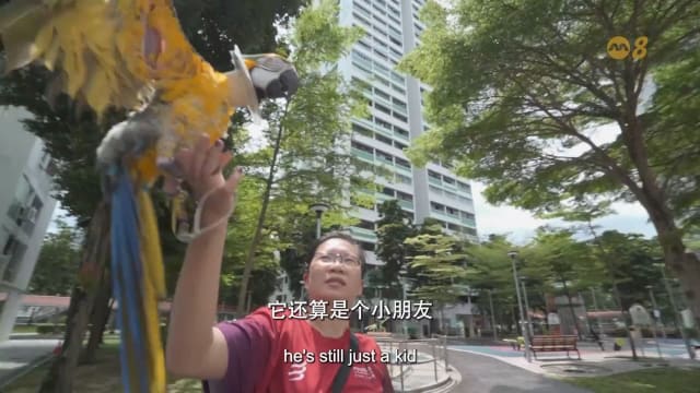 星期二特写 | 另一半：无条件宠爱