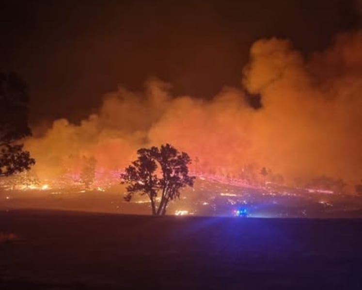 Heatwaves may be Australia’s deadliest climate threat, warn experts