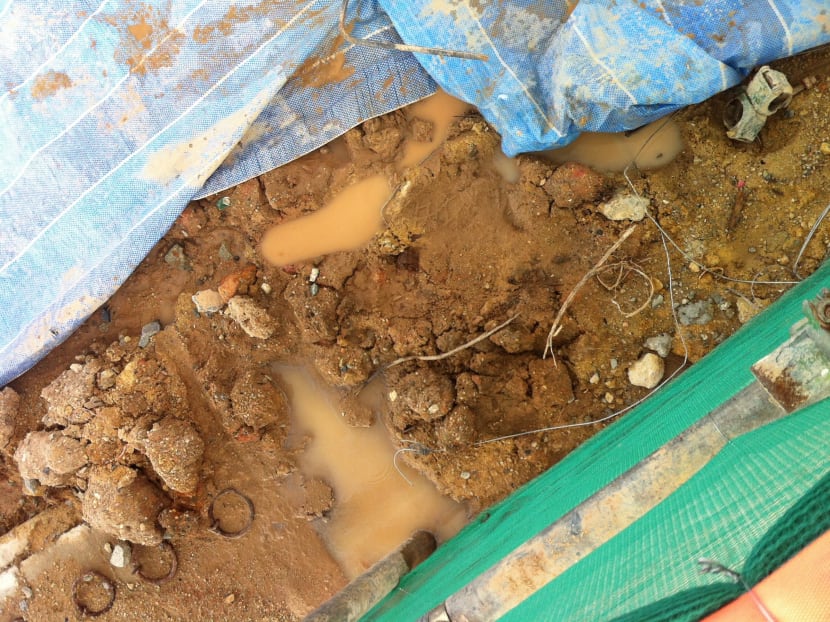 Greater focus on mosquitoes breeding at construction sites