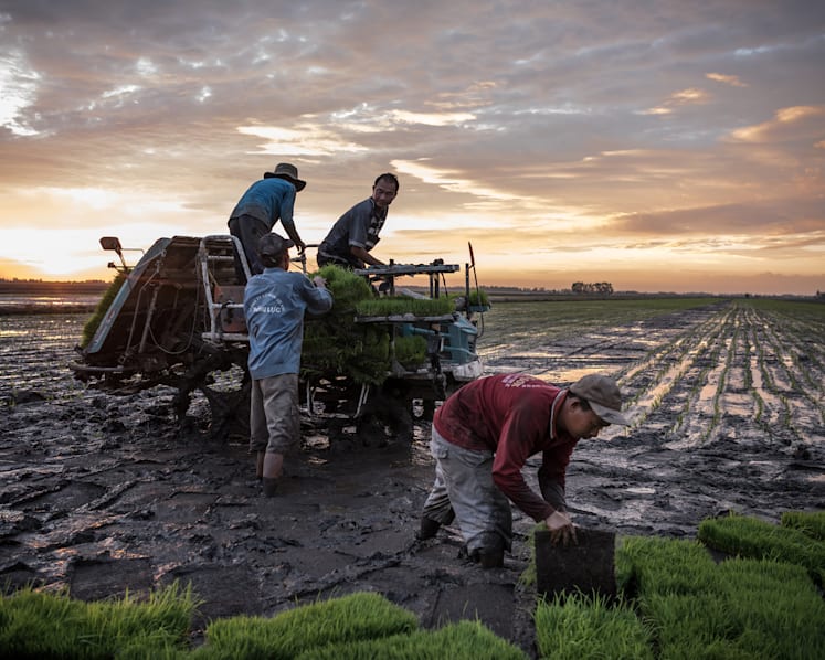 Dams and climate change are killing the Mekong River