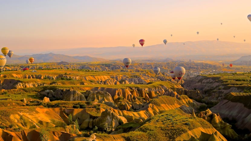 daniela-cuevas-t7yycgaovsw-unsplash