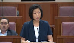 Sim Ann on arrestability in domestic violence cases