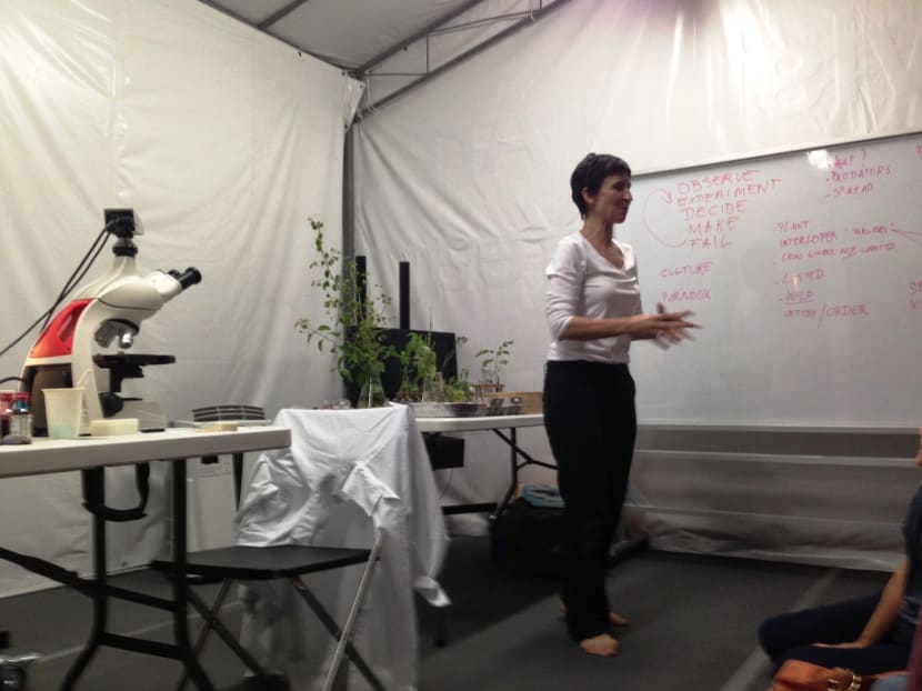 Art and the question of weed