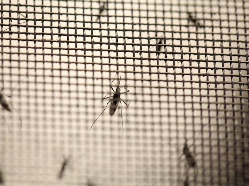 The total number of dengue cases in 2018 increased sharply from the previous year, with a total of 3,285 cases reported.