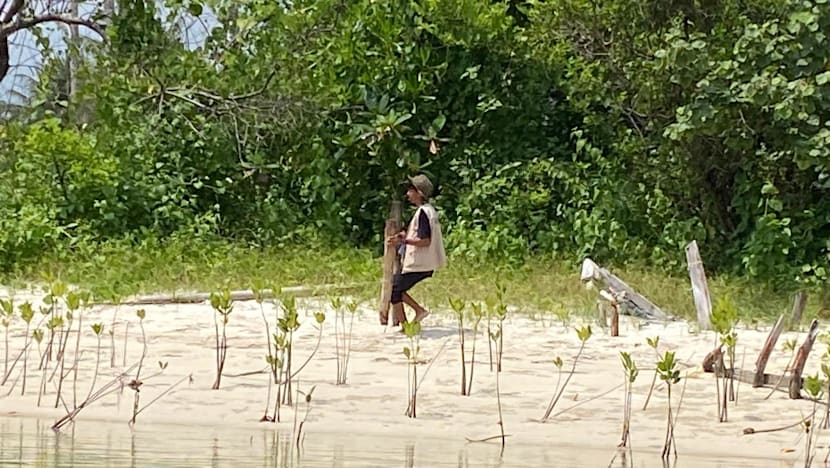 Related article image