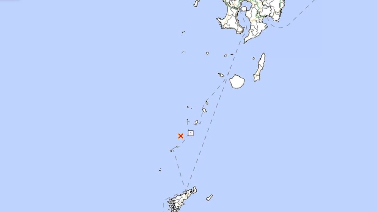 Magnitude 5.5 earthquake strikes southwestern Japan - CNA