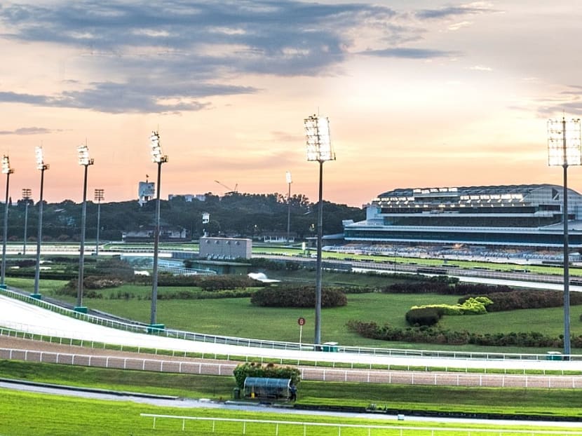 A view of the Singapore Turf Club's horse-racing track. A view of the Singapore Turf Club's horse-racing track.