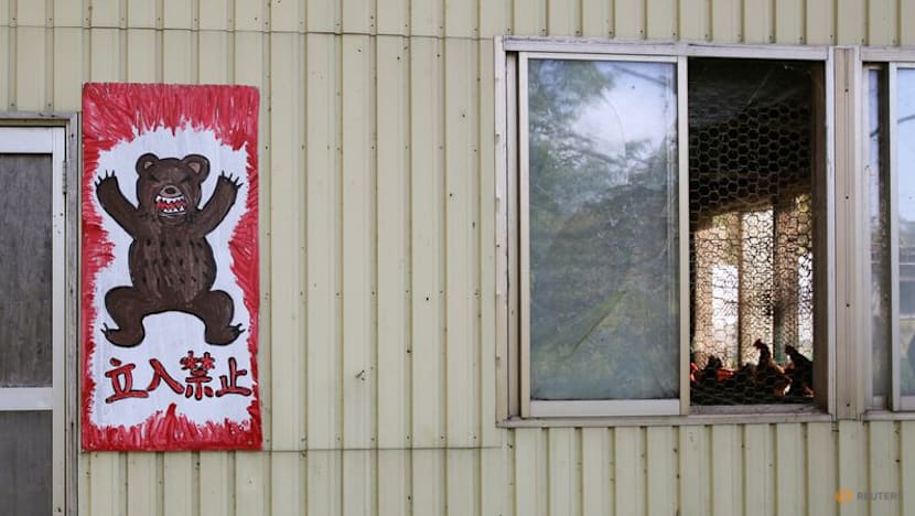 Japanese region asks army to cull bears as attacks spike Japanese region asks army to cull bears as attacks spike