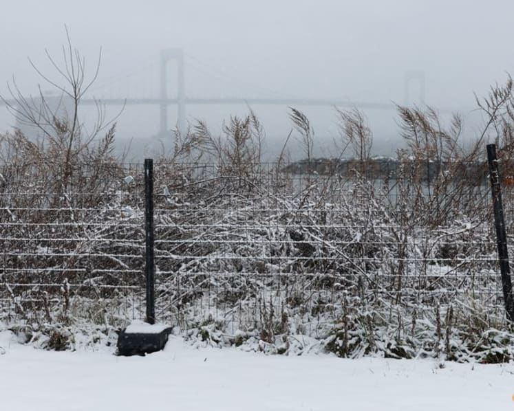 Vast swathes of the US remains in the grip of Arctic weather