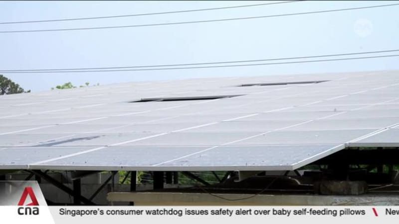 Pakistan's solar boom cushions energy crisis amid supply disruptions and price hikes