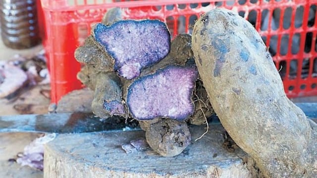 菲律宾暂停出口紫薯 确保国内种植材料充足
