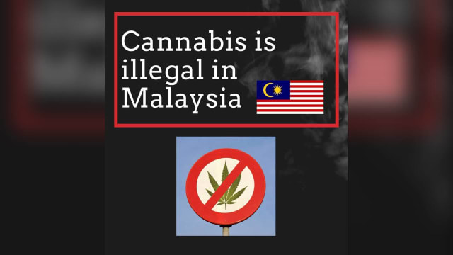 从泰国飞马国后体内被验出大麻成分 游客被判监