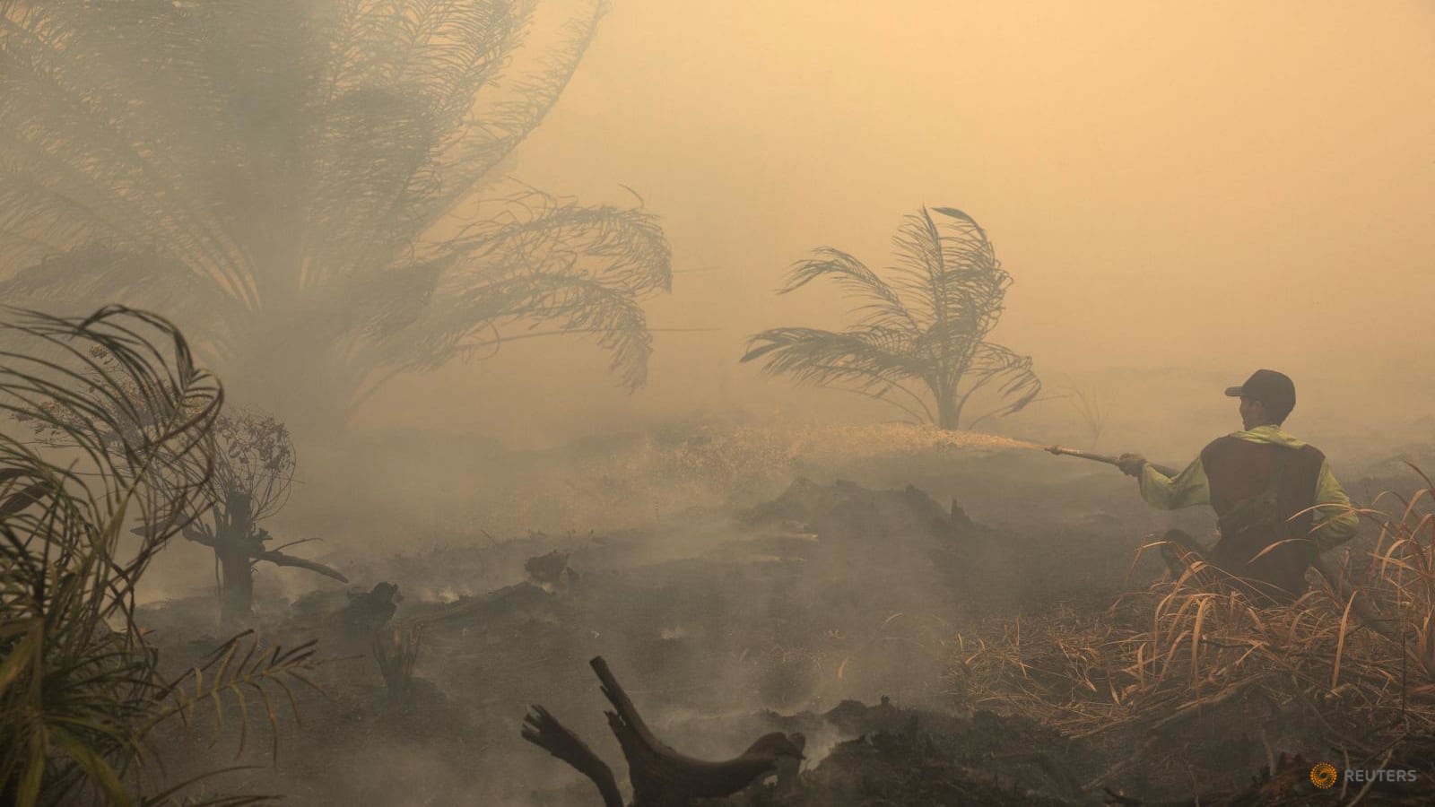 Kebakaran Hutan, 9 Taman Nasional di Indonesia Ditutup Sementara
