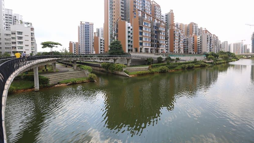 Biodiversity thriving on artificial Punggol waterway
