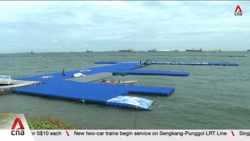 World Aquatics Championships: Open water race at Sentosa postponed as E. coli levels exceed limits World Aquatics Championships: Open water race at Sentosa postponed as E. coli levels exceed limits