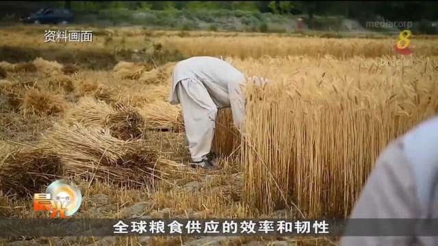 拜登宣布加码29亿美元援助配套 应对全球粮食安全问题