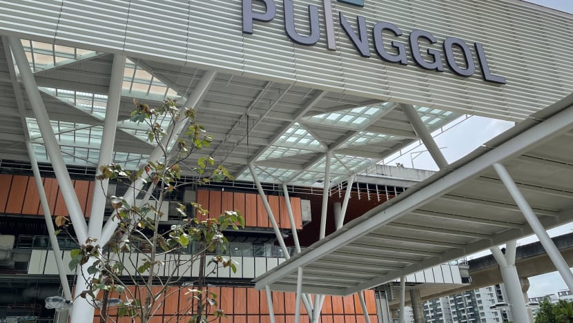 Kelab Masyarakat One Punggol tawar program, kemudahan bagi segenap lapisan usia